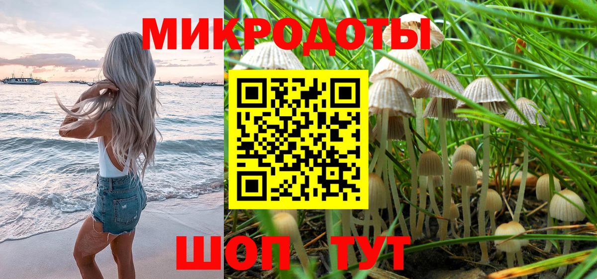 Галлюциногенные грибы ЛСД  даркнет сайт  Заринск  Вход с VPN 