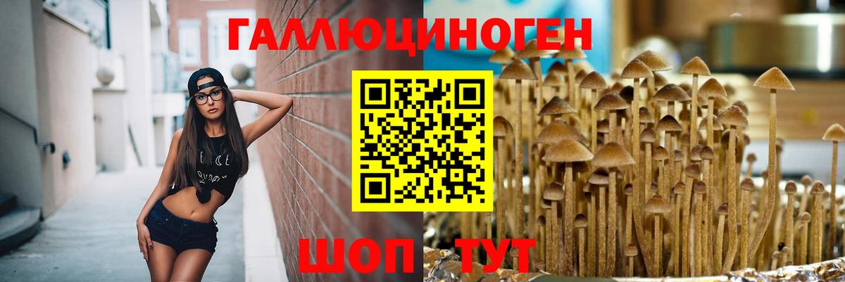 Псилоцибиновые грибы MAGIC MUSHROOMS Заринск
